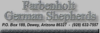 Arizona German Shepherds is also known as Farbenholt Kennels located in Northern Arizona 